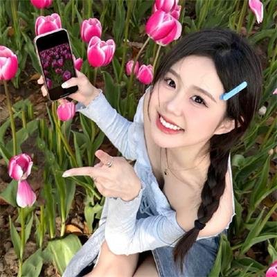 木府风云