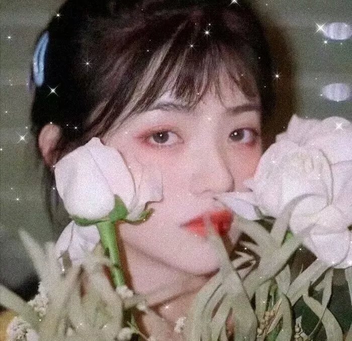 小黄花青草地
