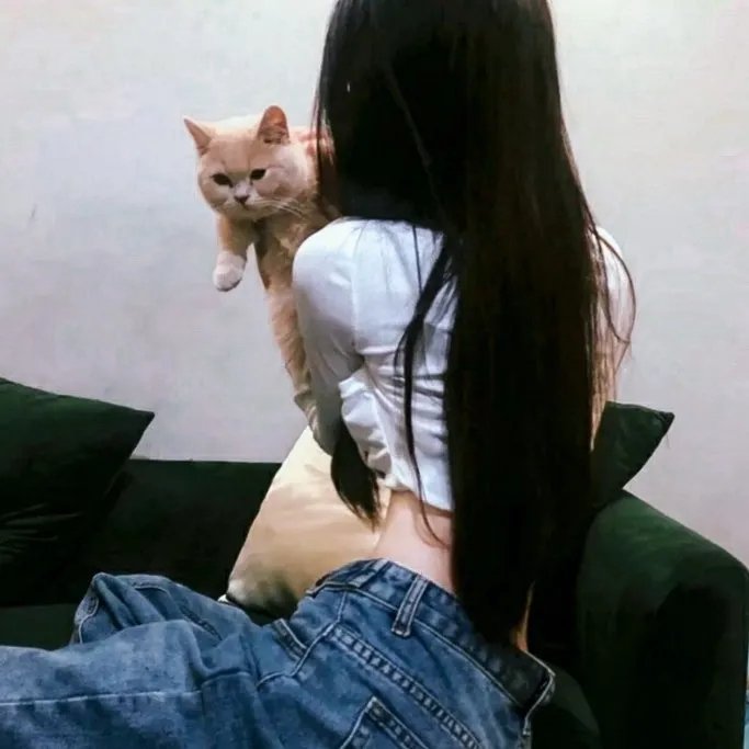 命运探索者